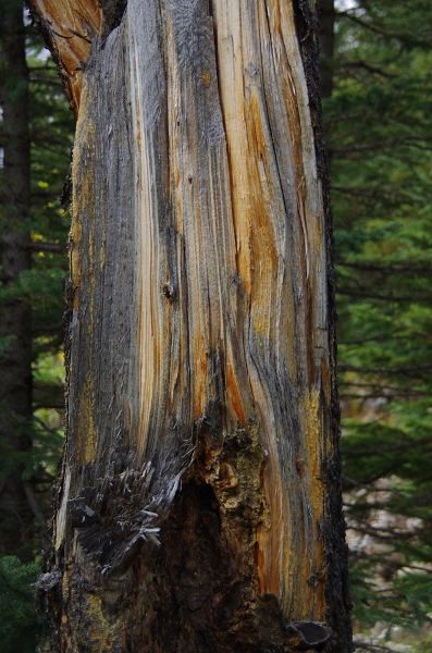 Banff NP 'Moraine  Lake - Tower of Babel' 16_09_2011 (78).JPG